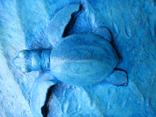 Load image into Gallery viewer, Turtle Hatchling Concrete Hand Made Sculpture Tile
