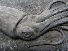 Load image into Gallery viewer, Squid Concrete Bas Relief Art Tile
