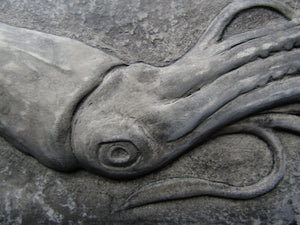 Squid Concrete Bas Relief Art Tile