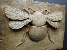 Load image into Gallery viewer, Bumblebee Concrete French Provincial Style Wall Sculpture
