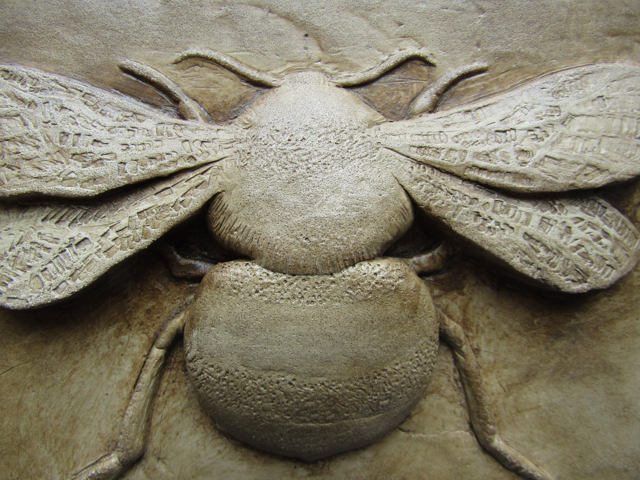 Bumble Bee shaped concrete stepping stone mold 1276 - Moldcreations